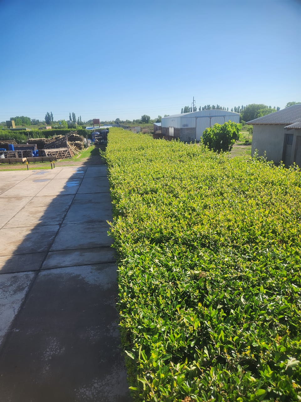 Trabajo de jardinería - Jardinería F.P